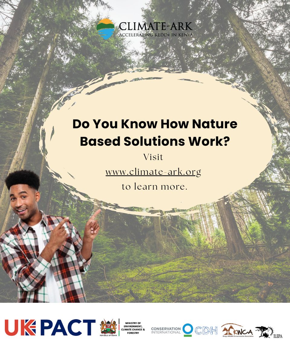 ClimateARK's tweet photo. Learn how nature-based solutions work with Climate-Ark, supporting REDD+ in Kenya. Visit https://t.co/C3hG84Jb90 for more details. #ClimateArk #KenyaConservation @KWCAKenya @ilepa2 @CDHLegal @UKinKenya @WildlifeWorks @PalladiumImpact @Environment_Ke https://t.co/ei1aH4tgGO