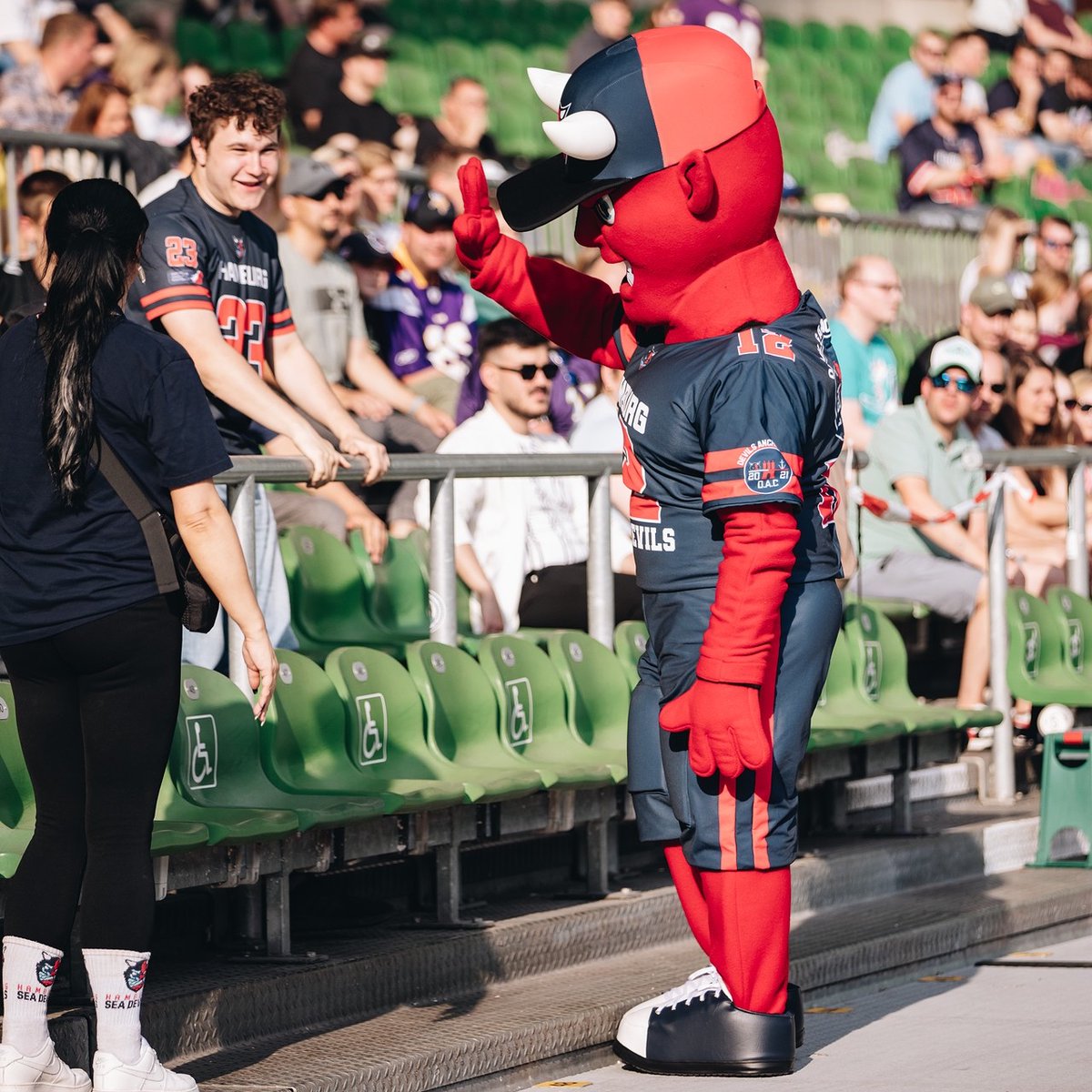 Hamburg Sea Devils tweet media