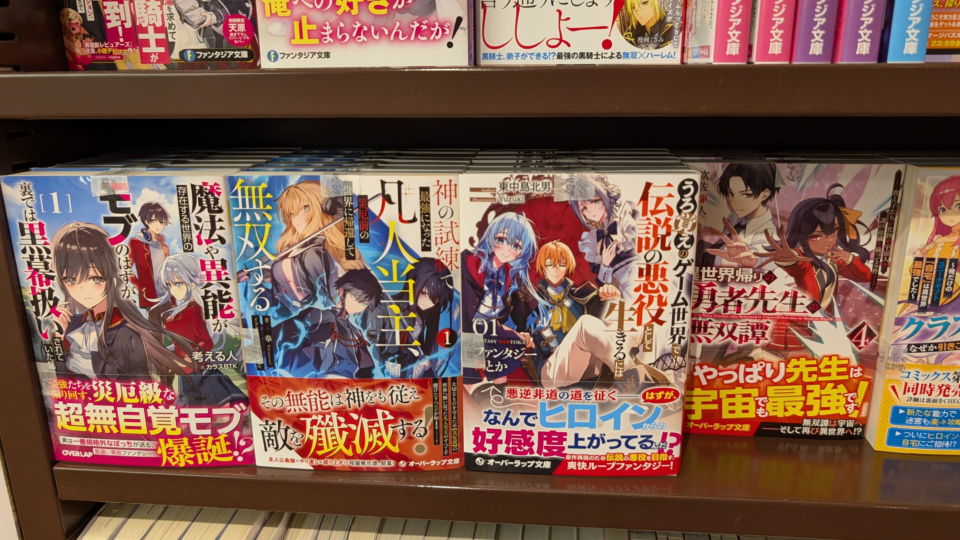 ラノベ約250冊 まとめ売り 値下げ交渉可 ライトノベル カバー無し まとめ売り(バラ売り可) - メルカリ