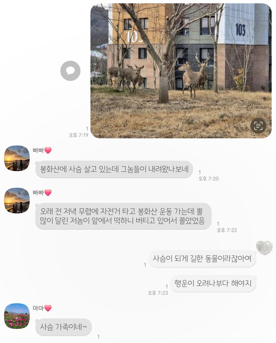 냅다 엄빠한테 카톡했는데 아부지도 본 적 있대
짱신기해...
