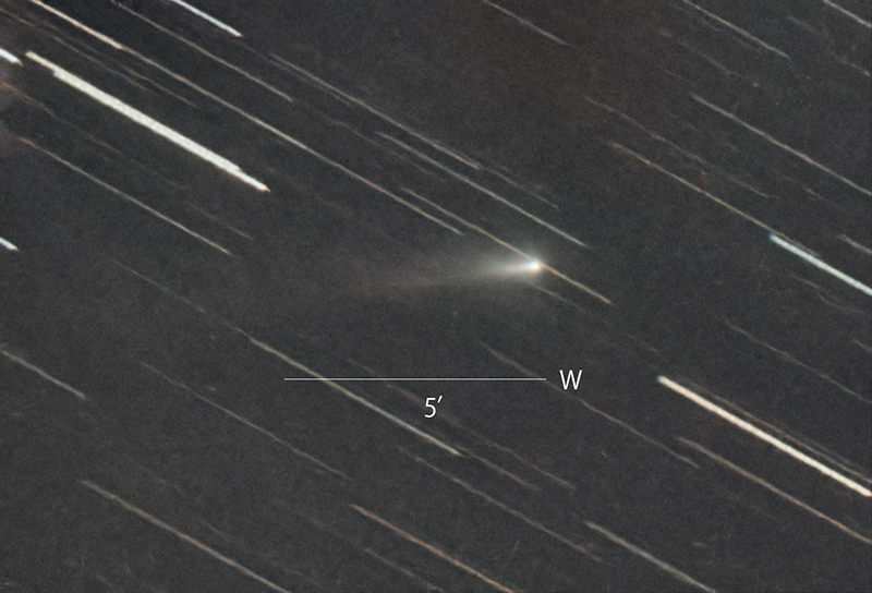 ☆C/2025 K1(ATLAS)
☆2025/08/24 19h56m56s(JST)
☆30sec*120frame
☆GS-200RC+Reducer0.75X+ASI294MC Pro