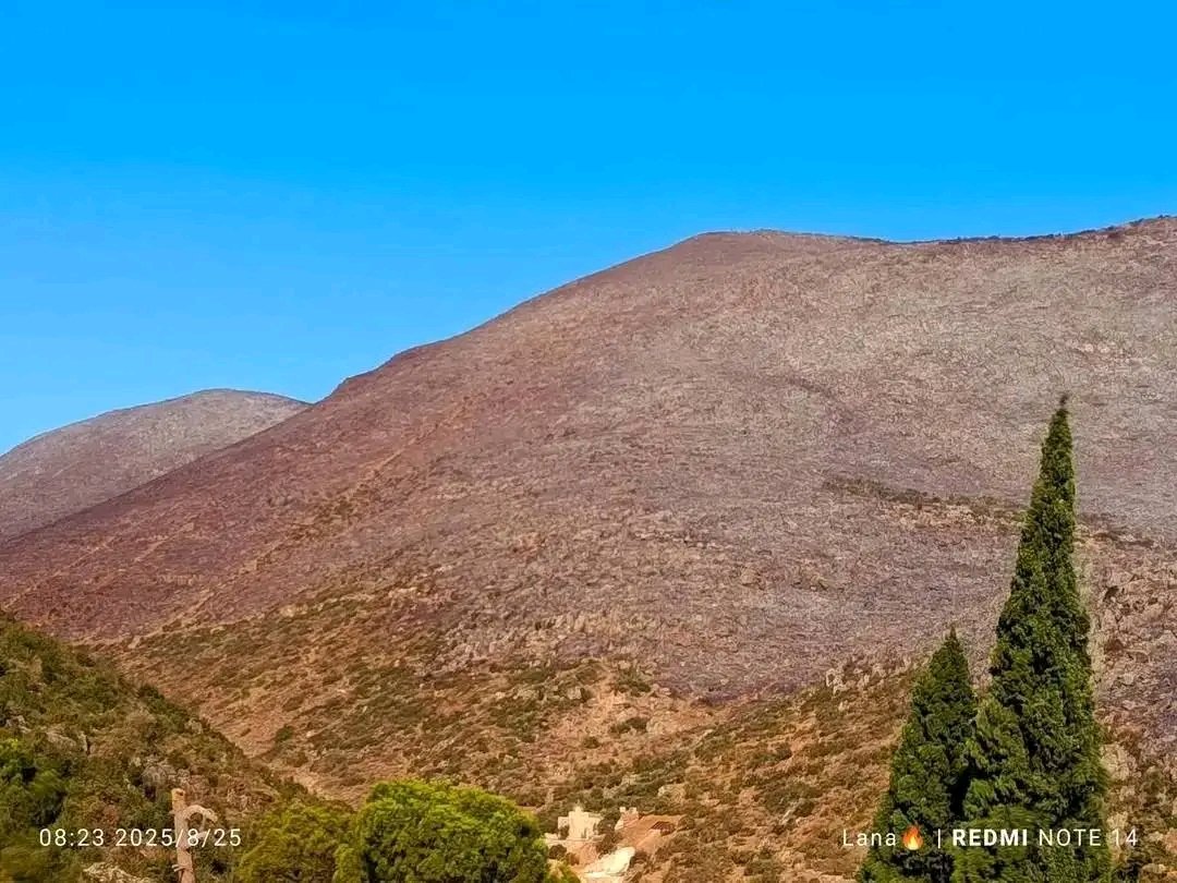 Lolya Alasmar tweet media