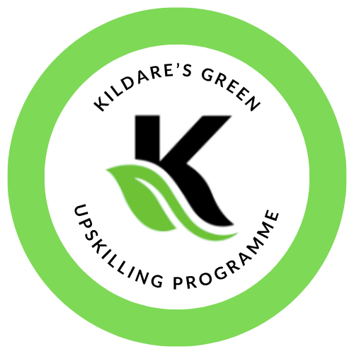 County Kildare LEADER Partnership tweet media