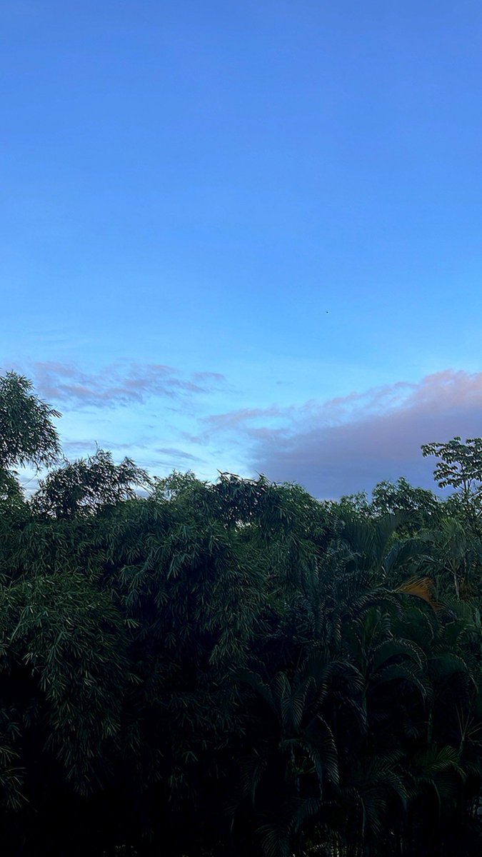 El amanecer del lunes. Buen día.