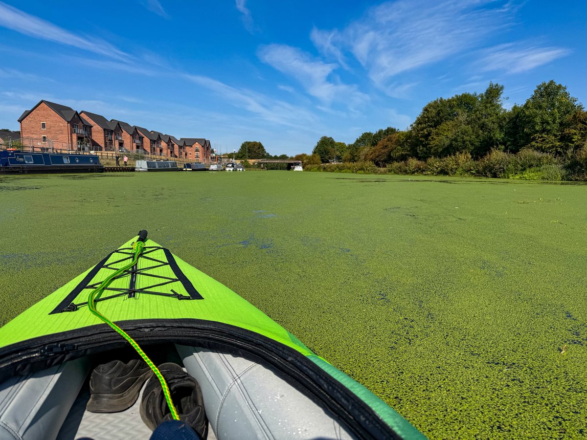 Stuart D tweet media