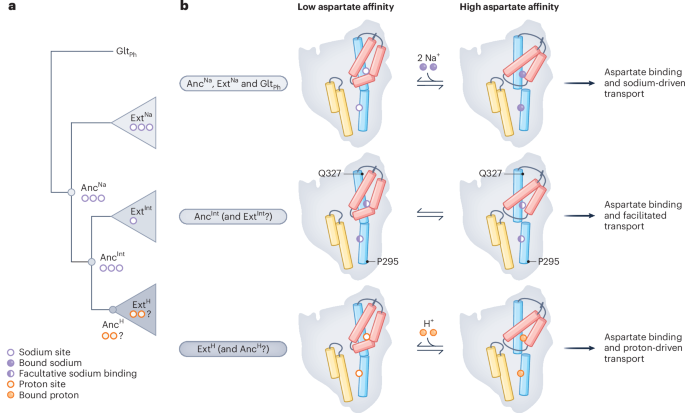 NatureStructMolBiol tweet media
