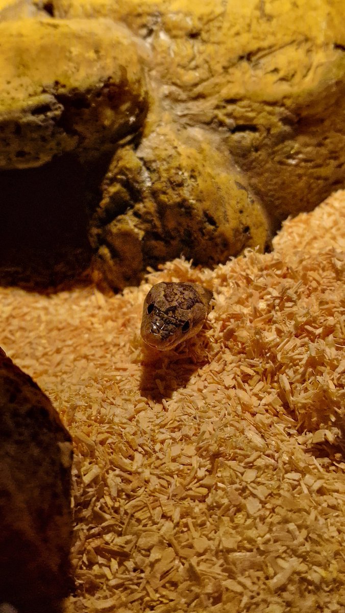 "You ain't seen me,right?"