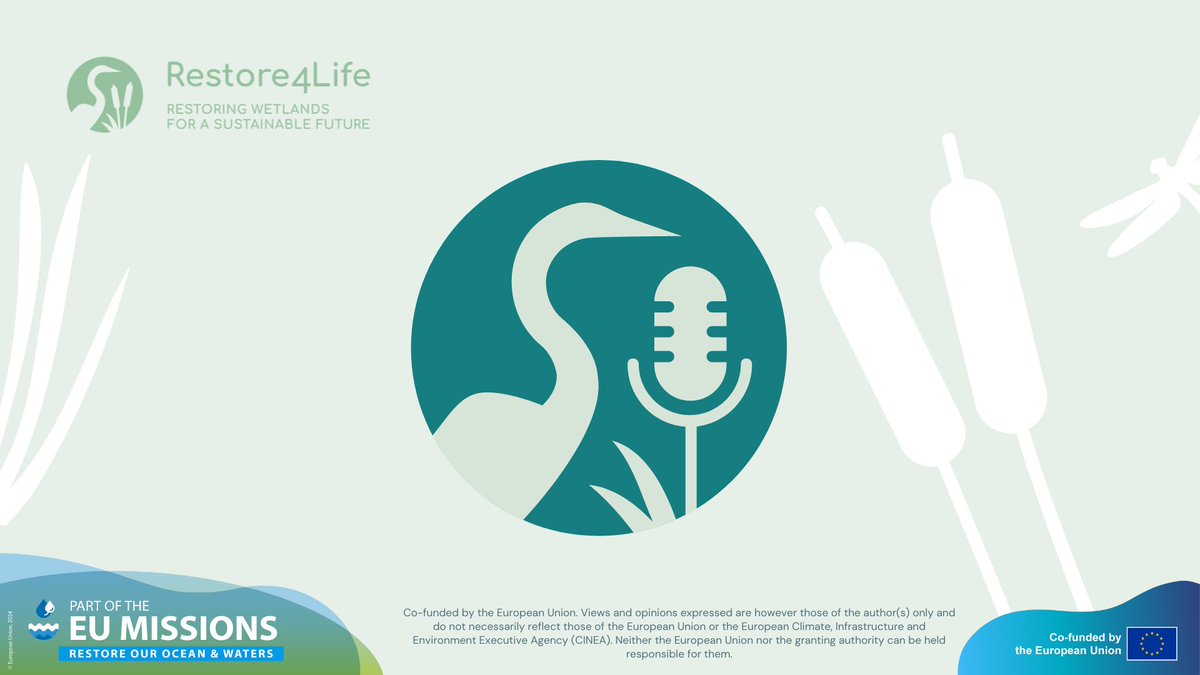 We've been hard at work all summer, preparing something truly special, launching this September! We can't wait to share all the details soon.

Can you guess what our big news is? 👀

Share your thoughts in the comment section. 👇