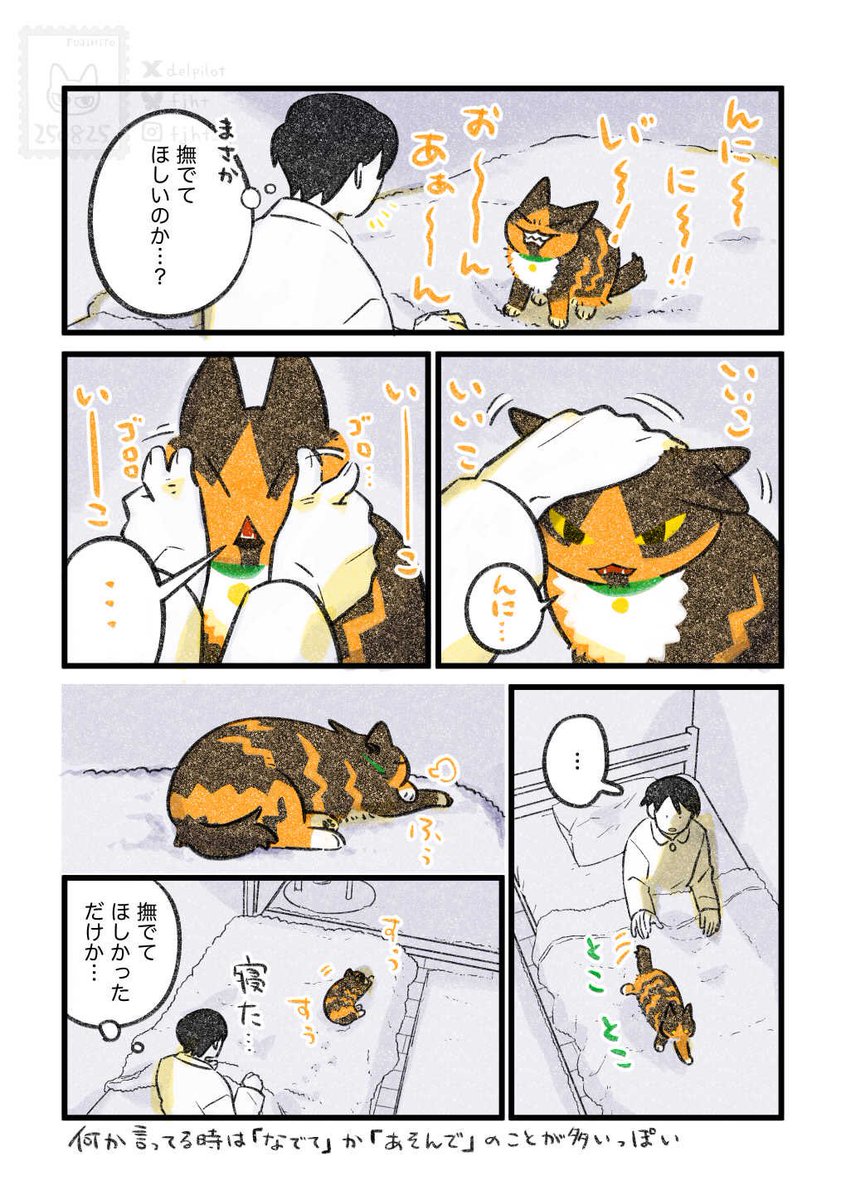 なでなでが好きな猫