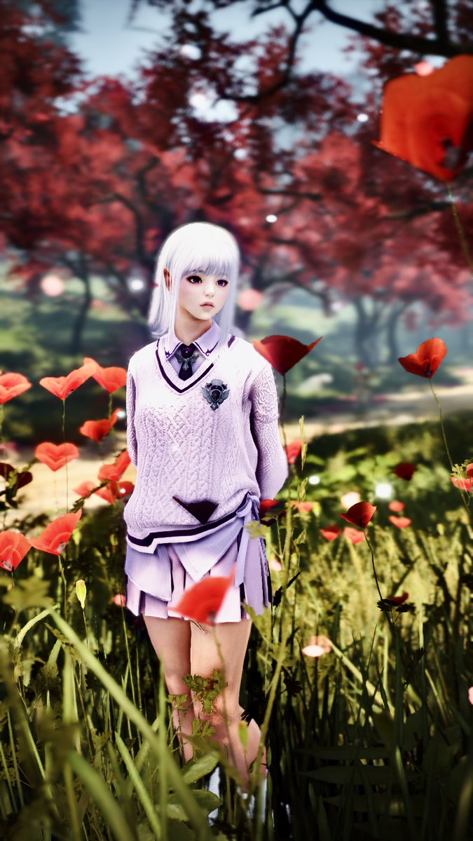KianaBiscuit's tweet image. 💐

#BlackDesertOnline #BDOScreenshot #黒い砂漠SS部 #黒い砂漠 #BDOWitch