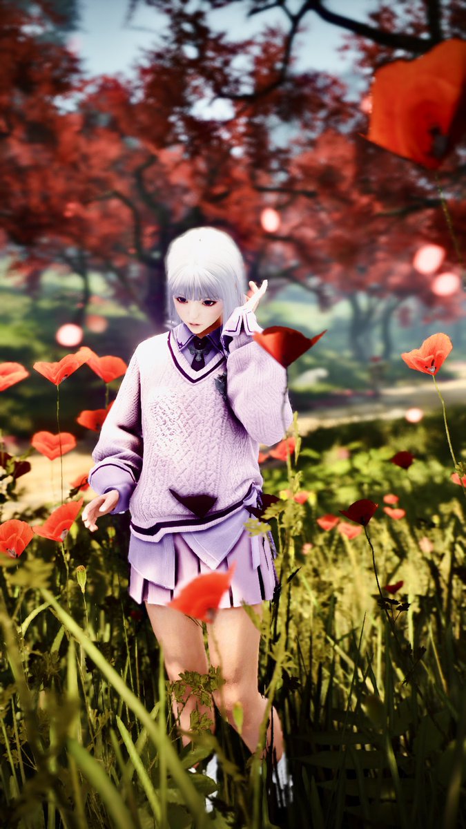 KianaBiscuit's tweet image. 💐

#BlackDesertOnline #BDOScreenshot #黒い砂漠SS部 #黒い砂漠 #BDOWitch