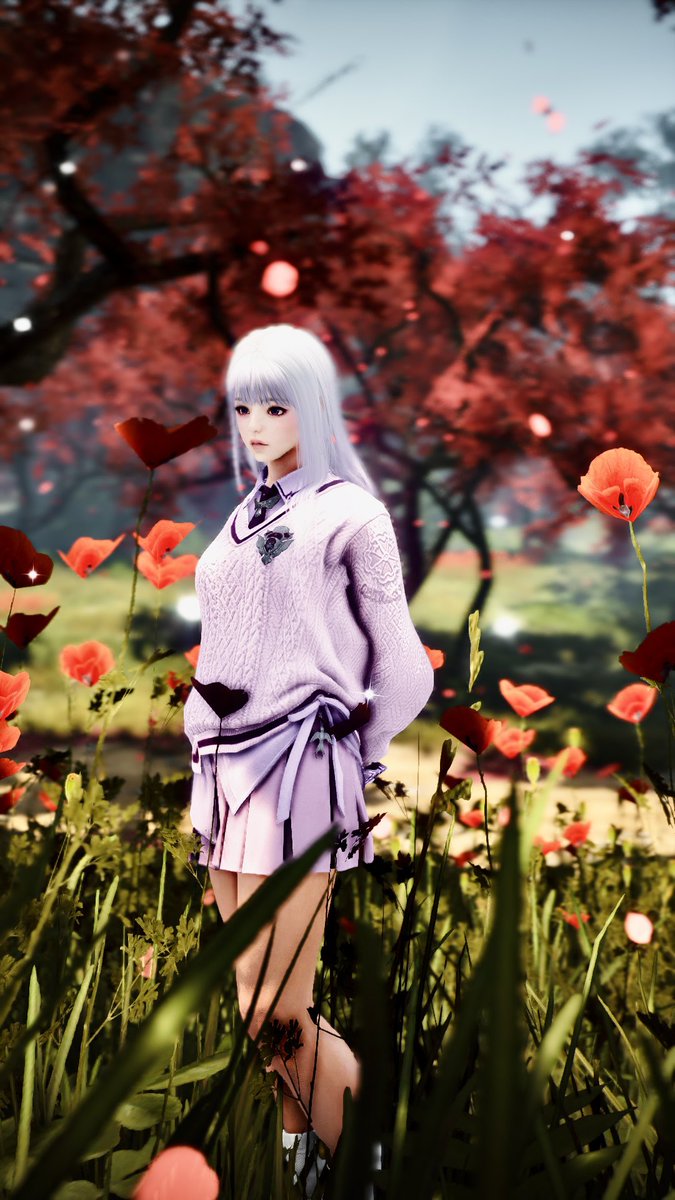 KianaBiscuit's tweet image. 💐

#BlackDesertOnline #BDOScreenshot #黒い砂漠SS部 #黒い砂漠 #BDOWitch