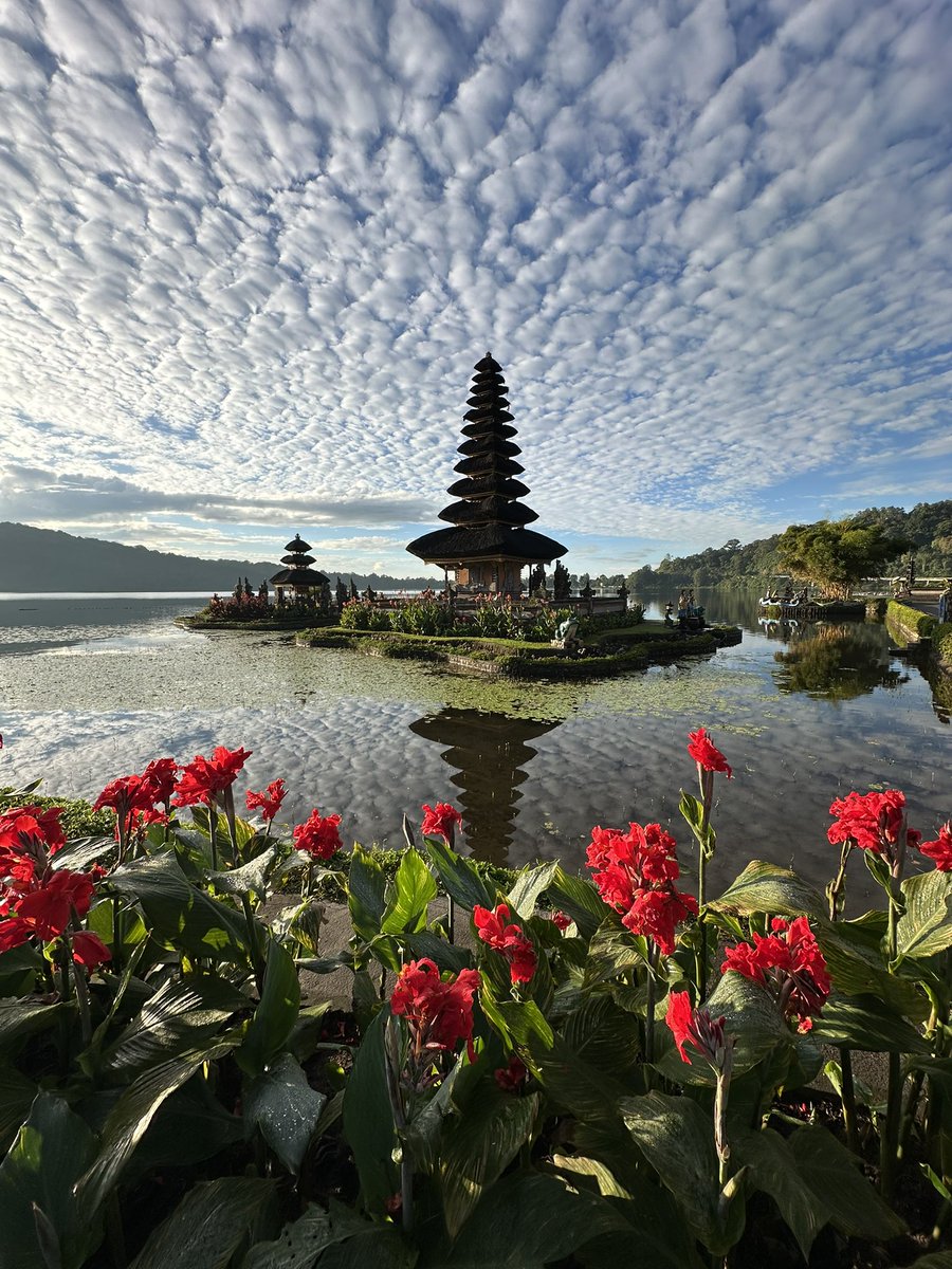 Darrell Reid tweet media