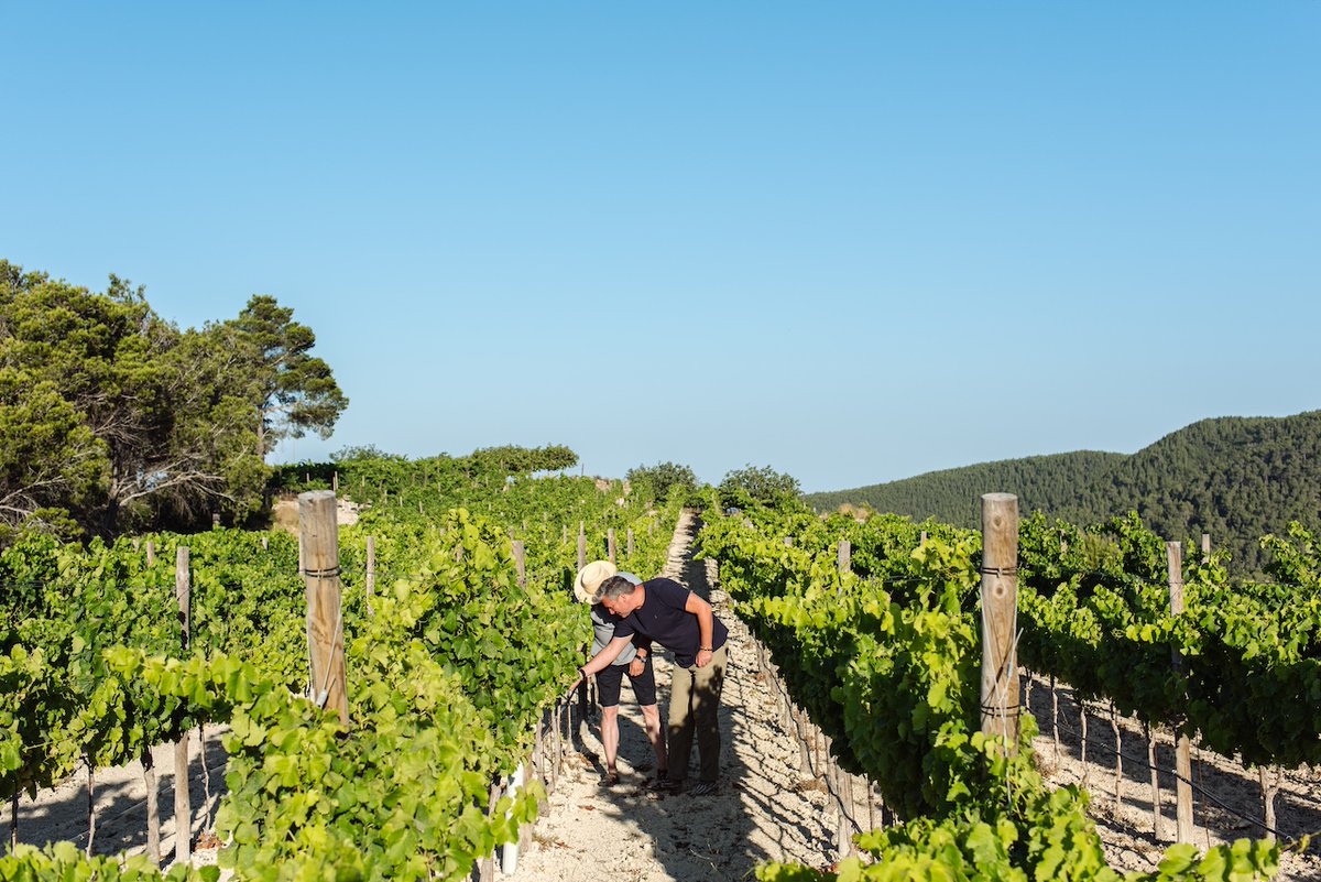 CBPAE's tweet photo. 📢Sa Roca des Falcó #Eivissa
▶️Es dediquen a la producció i elaboració exclusiva de vi i oli d’oliva verge ecològic.
▶️Més informació a https://t.co/7sCuzwk2uc
#SomUnProductorEco
#AlimentsEcodeBalears https://t.co/zrLJrjYPGI