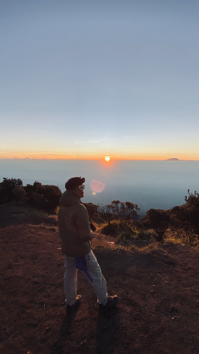 tauruszen tweet media