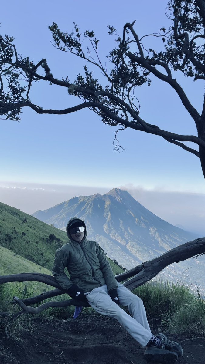 tauruszen tweet media