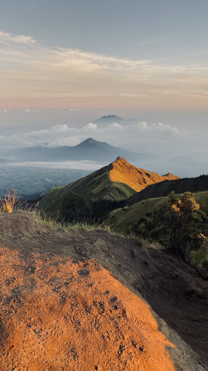 tauruszen tweet media