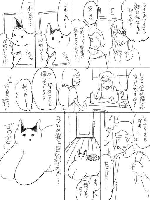 嘘日記 #巨乳の猫 