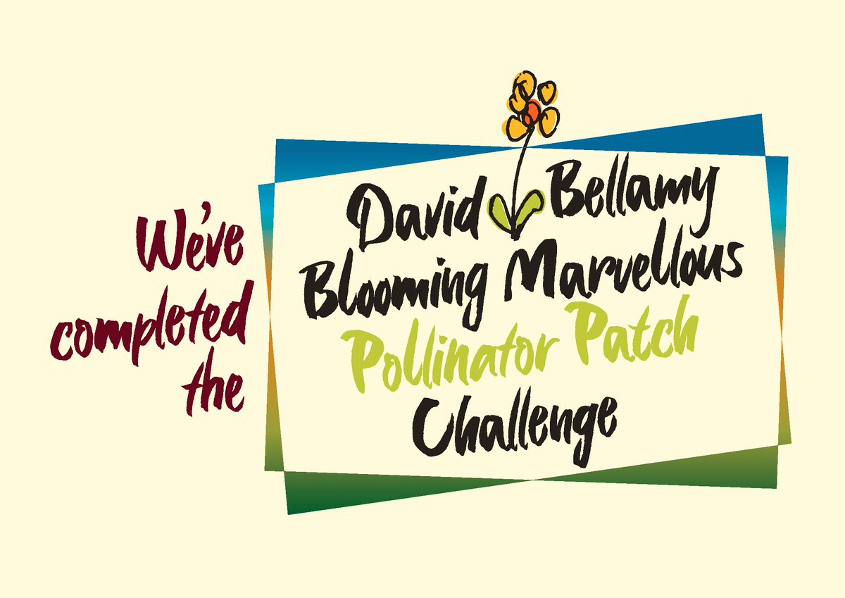 Coldstream_HP's tweet photo. Fantastic News for a Sunny Bank Holiday Monday, We have completed the Pollinator Patch Challenge 🌸🐝
Find out more - https://t.co/n1eIjYtXoK
#davidbellamy #pollinators #Awards #holidaypark #scottishborders #northumberland #coldstream https://t.co/xyjxwMYDWi