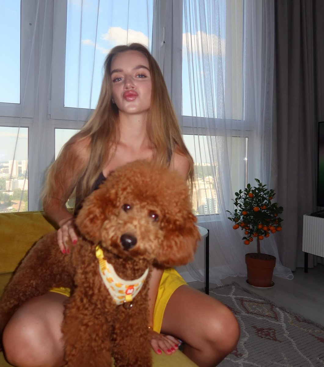 symir_name's tweet image. My dog ​​was so cute again today! As soon as he woke up, he jumped on me and gave me a kiss. Who could resist?
#EverydayIwantToShowMyDog #DogDaily