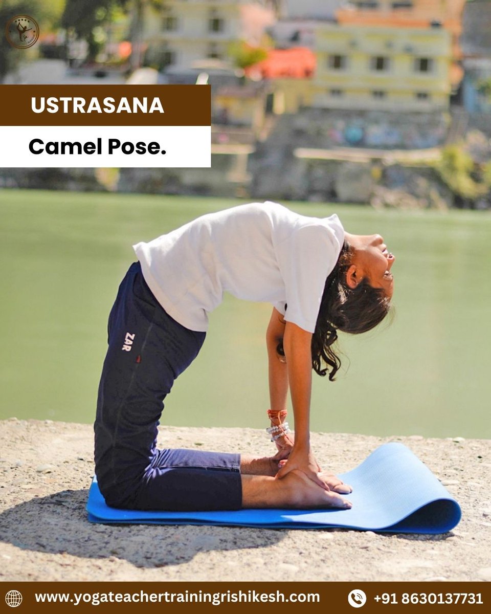 rishikesh_yog's tweet image. Stretch your body, open your heart, and energize your soul with Ustrasana (Camel Pose) 🌿✨
#Ustrasana #CamelPose #YogaAsana #BackbendYoga #HeartOpener #SpinalStretch #YogaForFlexibility #YogaPractice #MindfulMovement #YogaBenefits #StressRelief #YogaInspiration #YogaDaily
