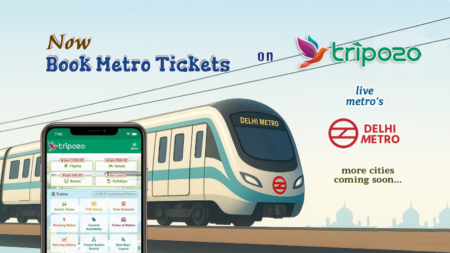 Tripozo tweet media