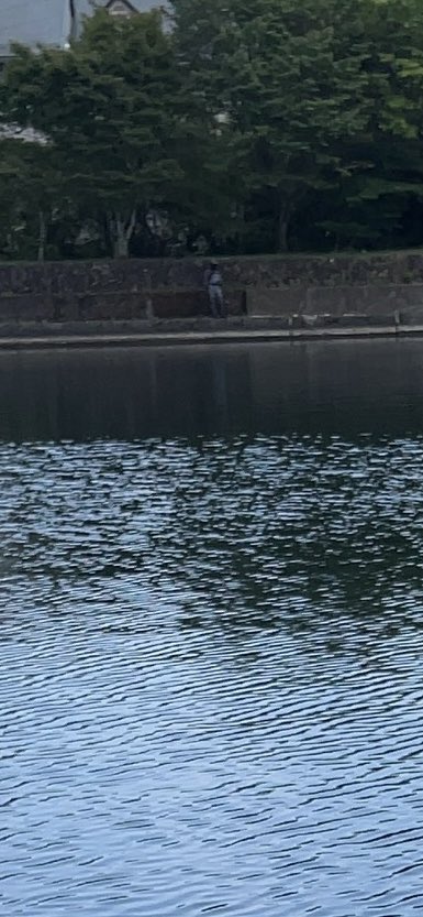 TORIGON5060's tweet photo. 釣り禁で釣りしてるやつ増えたな🎣
 #バス釣り https://t.co/Q1nwlClERy
