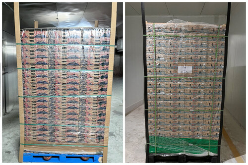 PRNewswireIL's tweet image. #StePacPPC's #Pallet #Shrouds Preserve #Produce #Freshness All the Way to #Retail tinyurl.com/3f3k6zp5  @StePac_Xtend