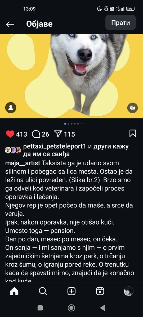 sanjazivi's tweet photo. Caslav trazi dom https://t.co/13fqe53tHP