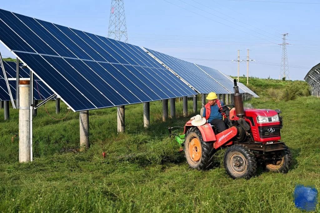 Zhuolibai2025's tweet image. 🌞 【New Energy suppliers】
Turning coal pits into power zones ⚡.
Solar + plants 🌱 = clean energy 💡 + new income for local farmers 🌍.
🌐 szoeby.com 

#SolarPowerSystem #OffGridSolarSystem #HybridSolarSystem #GridConnectedSolarSystem #PhotovoltaicSystem #Solar