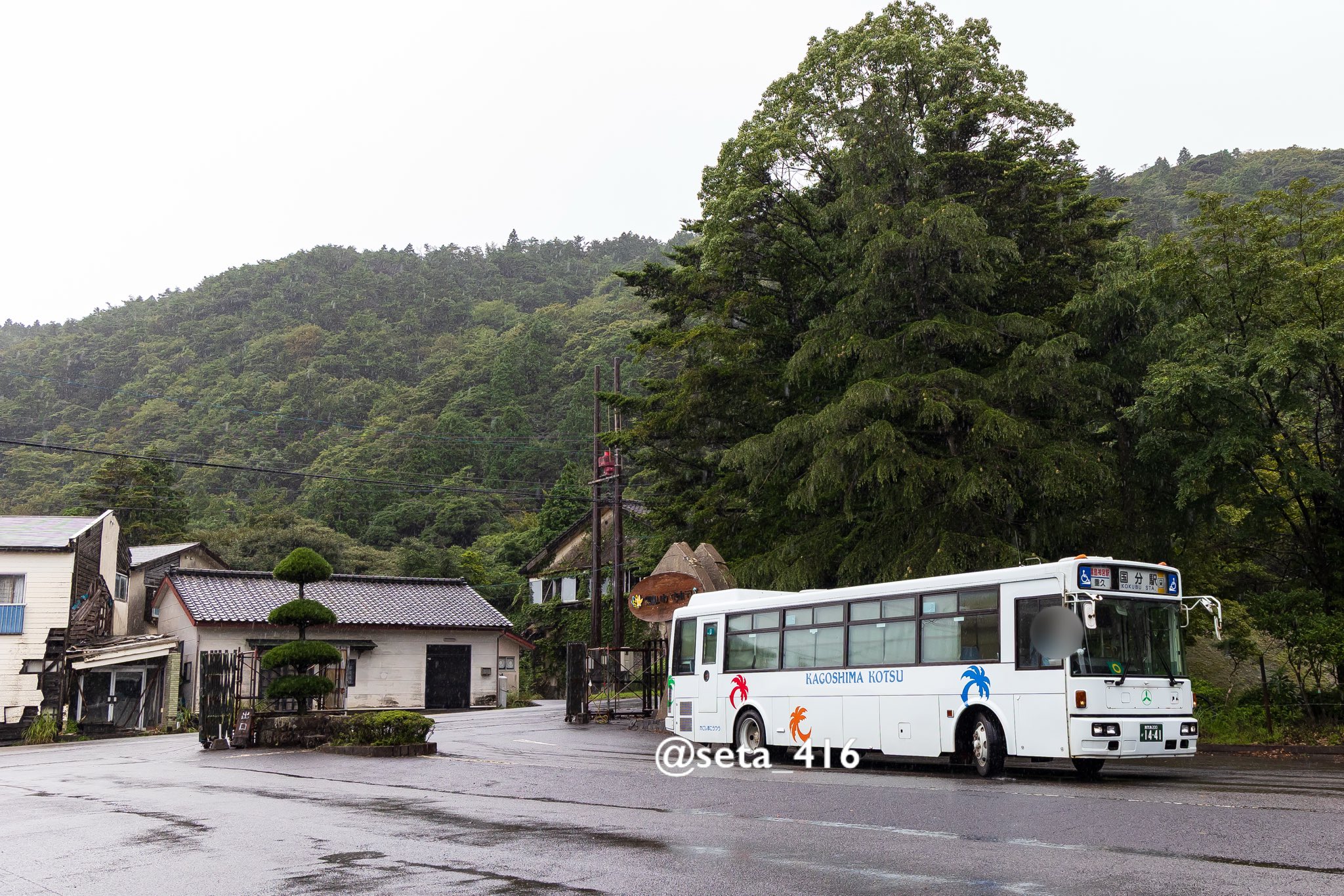 相上芳景　盃　共布共箱付 楽天市場】増田産業 ドアポスト OD-664 KJ-1型 羽根（フタつき