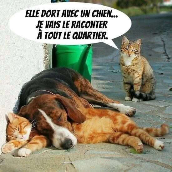 vivige (@vivige1976) on Twitter photo 