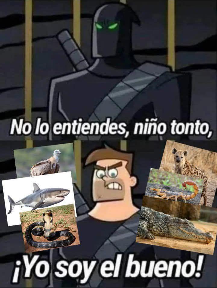 Si te sigo sos un triunfador 🏆 tweet media