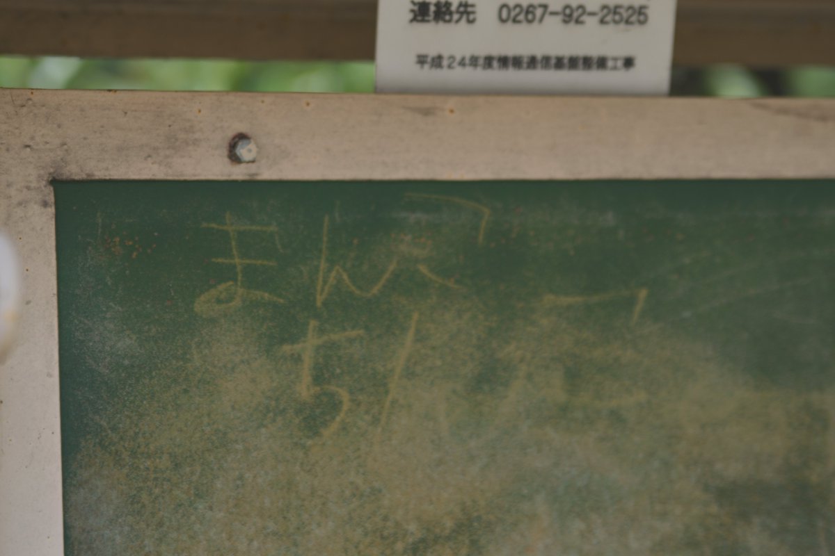 最低だが、
私は好きだ。

#夏の集落
#在りし日の落書き