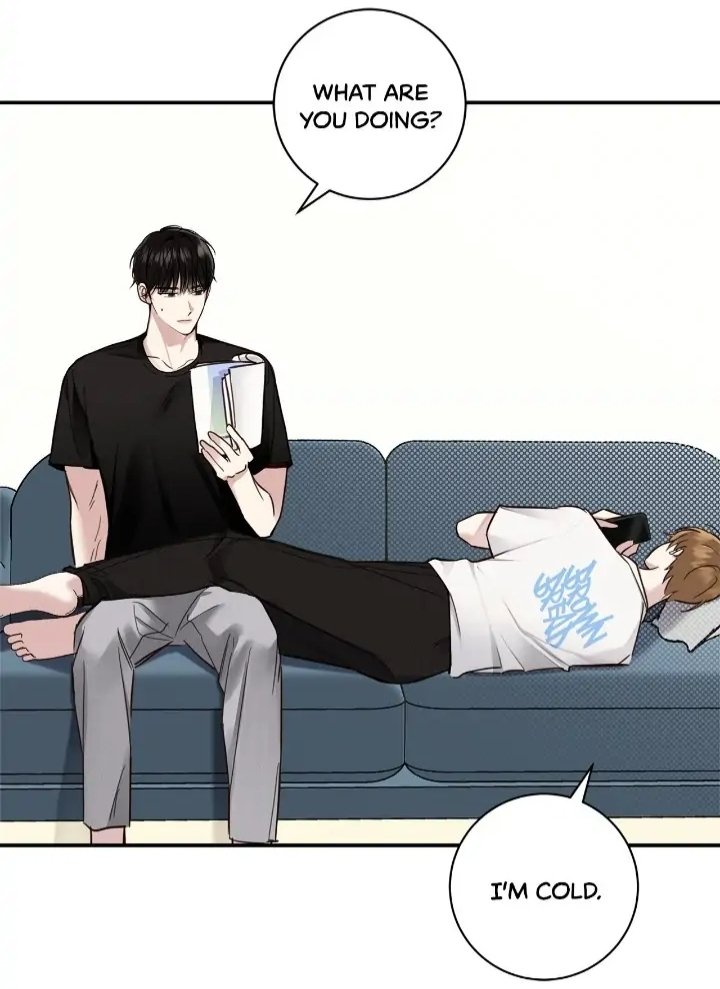 the room temp, the blue sofa 🤭