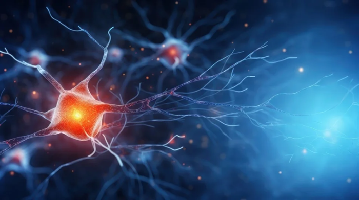 Inside the HIVE: A modular architecture for future-proof microscopy news-medical.net/news/20250825/…