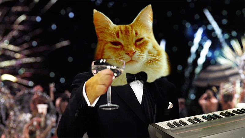 after almost 4 years, i’ve finally tapped 1k followers.

it ain’t much but it’s honest work.

appreciate all the support.

might just giveaway some $KEYCAT to celebrate !