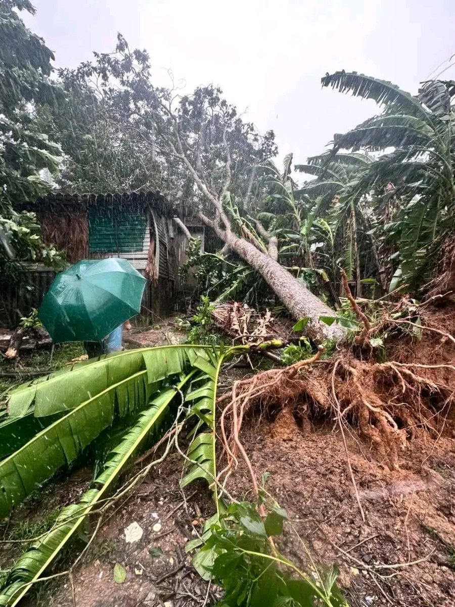 RenderNature's tweet photo. Here are the visuals of damages from the coastal town.

Officials advised to stay indoors and avoid unnecessary travel as typhoon Kajiki made landfall in Vietnam. https://t.co/ewll6Npg9C
