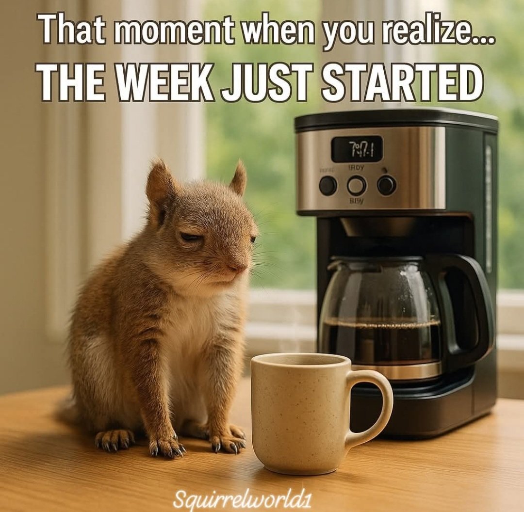 Monday's are so rough. Good Morning and Happy Last week of August!! Routine as normal, and after a busy week last week, I am grateful for it!! Wishing everyone a Heartwarming Monday and a good morning 🌞 
Remember to be kind, smile lots, and dance often!