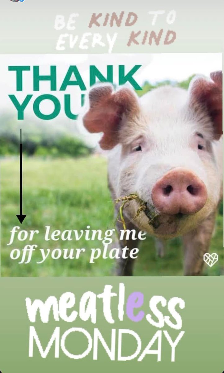 annaandy40's tweet image. #MeatfreeMonday
#MeatlessMonday