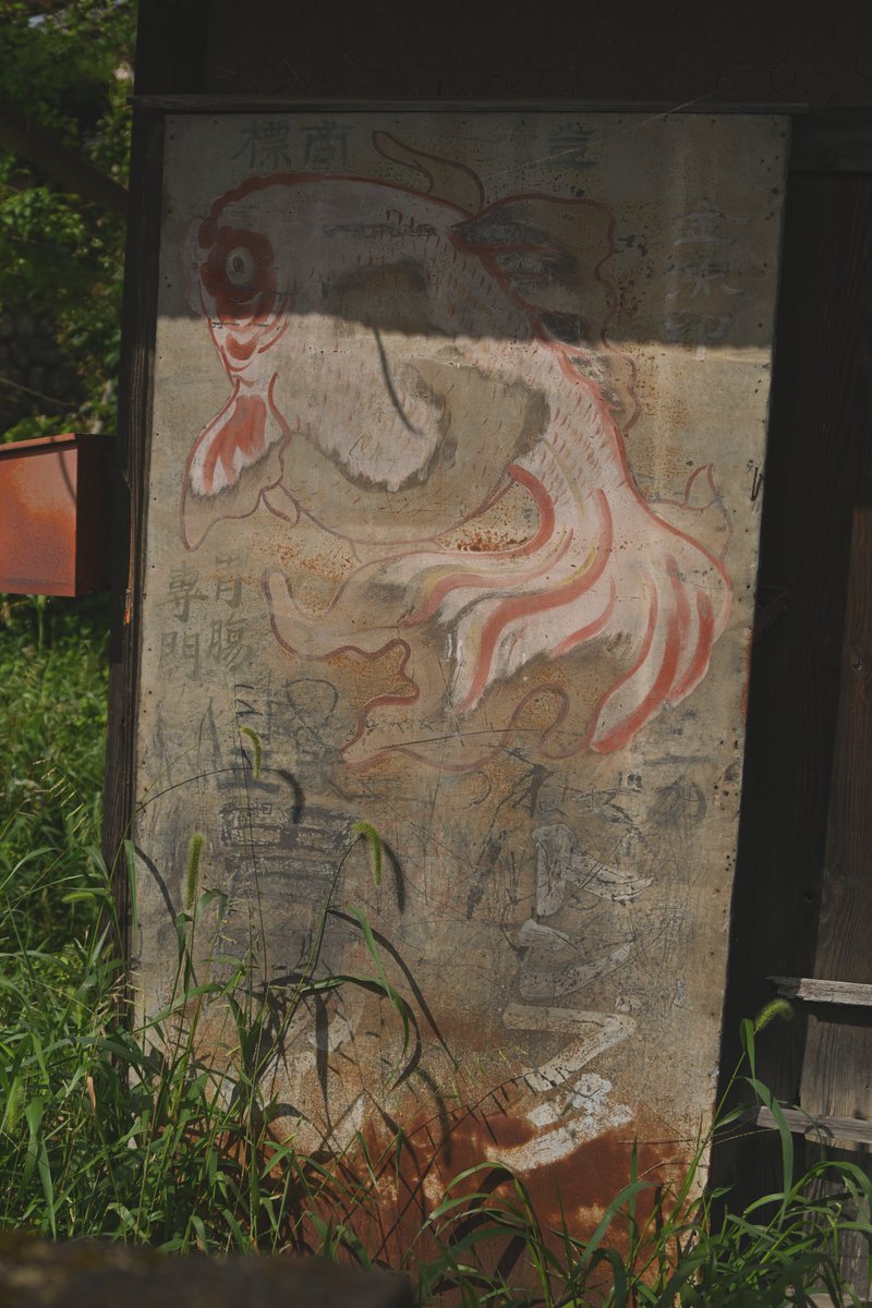 この看板が好きすぎて定期的に訪れてしまう。

#金魚印之家庭薬
#昭和レトロ看板