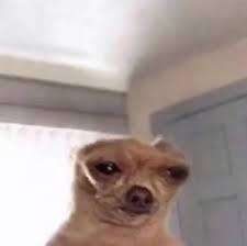 I'm learning to draw and I tried to make a Marie crosseneu (I didn't make the body because I was afraid of doing it wrong)

Marie's Artist: <a href="/SSSeaweed1/">Croseneu</a>