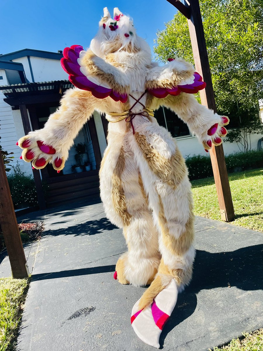 And here it is, my final commission from the last batch completed!
Meet Cage the jackal something? Originally designed by yours truly and made for the awesome @/matthiasmutt 
I am super happy with how they turned out, loving the accessories :3

#furry #fursuit #fursuitmaker