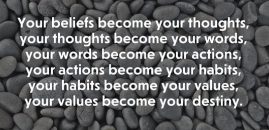 mrgrtcook's tweet image. 