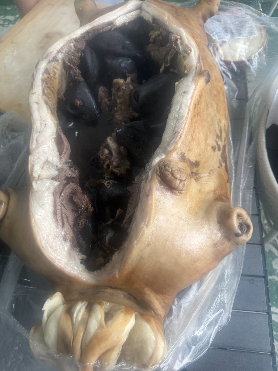 Dandag_5004's tweet image. Зуслангын зуны хаалт  архигүй Монголын төлөө хамтдаа