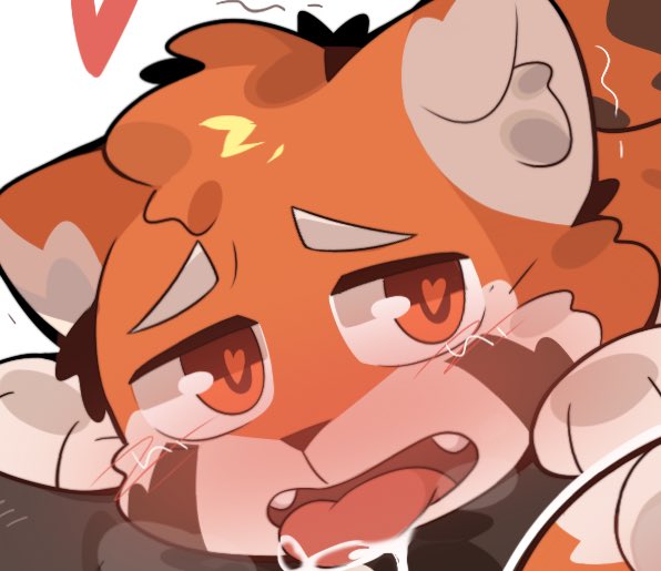 Samurais虾饼🐾 tweet media