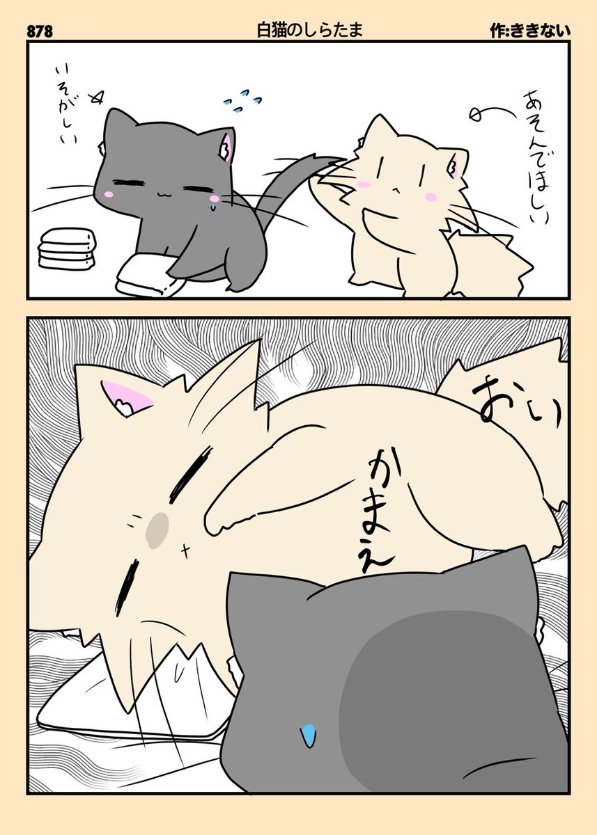 白猫コメントください 白猫プロジェクト攻略@GameWith (@gamewith_wcat) / X