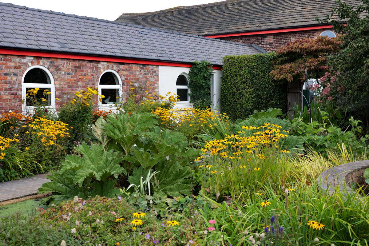 Laskey Farm in Lymm, WA4 2TF  is open again for NGS today. As we near the end of August, garden openings are to be savoured, and this one is well worth a visit. There is much to see in the garden, as well as an art exhibition and delicious homemade cakes
#cheshiregardenstrust