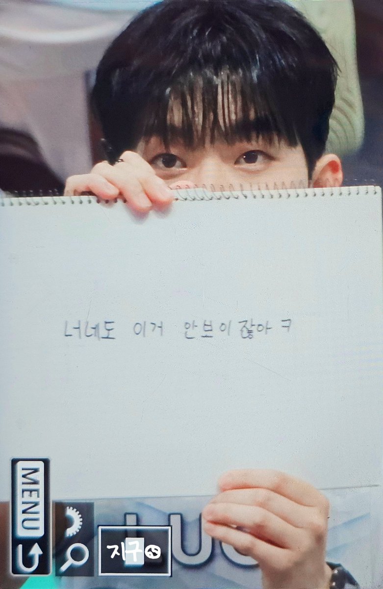 왈왈이들 짤 파티 하는 날인가봐