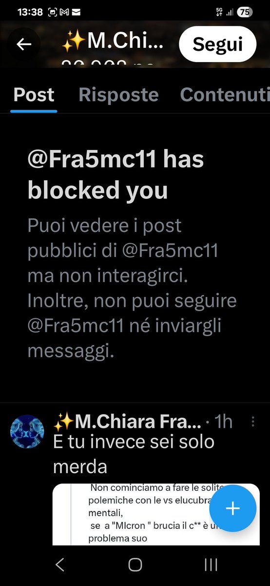 C.v.d Gli intellettuali di destra a seguito di semplici chiarimenti e dicumentazione su quello che pubblicano ti bloccano, Poveretti